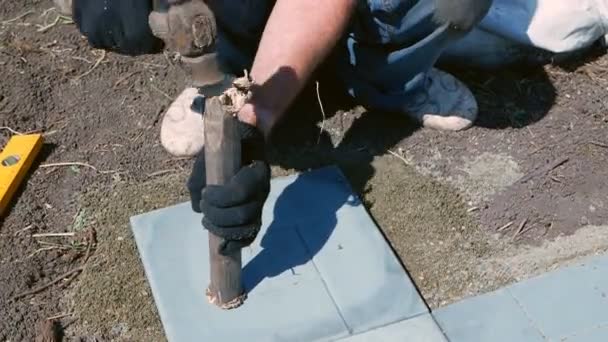 El hombre pone una baldosa gris pavimentación. Vídeo De Stock