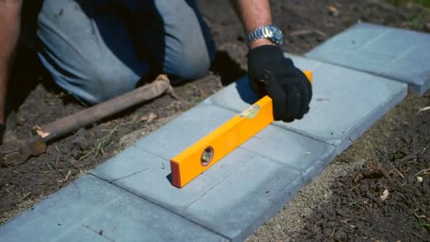 El hombre pone una baldosa gris pavimentación. — Vídeos de Stock