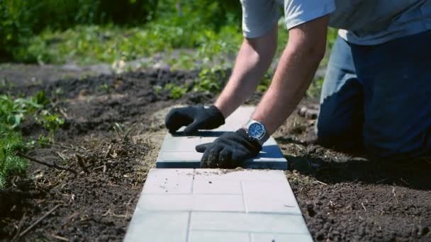 El hombre pone una baldosa gris pavimentación. — Vídeos de Stock