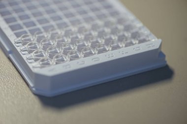 gıda araştırmaları için immunoassay kuyuları