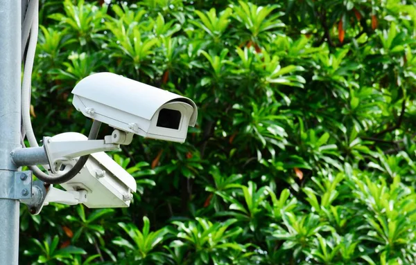 Beveiliging Cctv Camera Het Park — Stockfoto