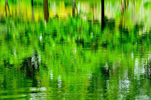 Abstrakte Spiegelung Des Baumes Auf Dem Wasser — Stockfoto
