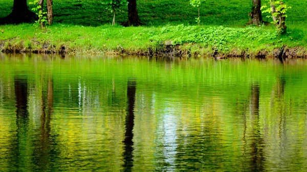 Abstrakt Färgglada Träd Reflektion Vattnet — Stockfoto