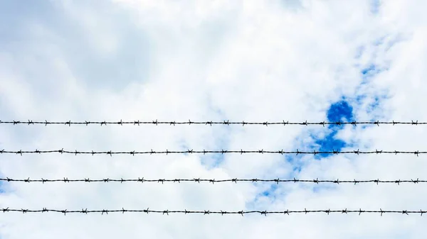 青い空の背景にある有刺鉄線のシルエット — ストック写真