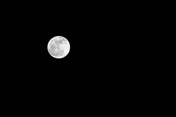 밤하늘에 보름달이 — 스톡 사진