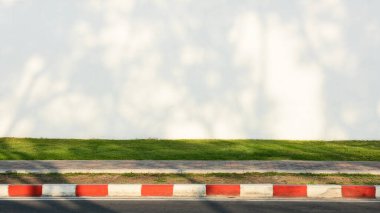 Beyaz çimento duvardaki ağaç dalının gölgesi yeşil çimenler