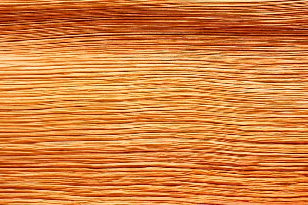 Dry Brown Palm Leaf Texture — Stock Photo, Image