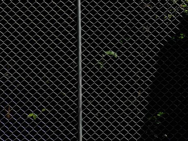 Filet Métallique Cage Parc — Photo