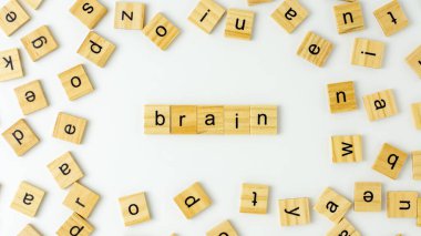 Beyaz arka planda tahta alfabe harfleri 