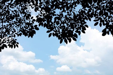Yazın mavi gökyüzünün altında bulut ve yaprak silueti - arka plan