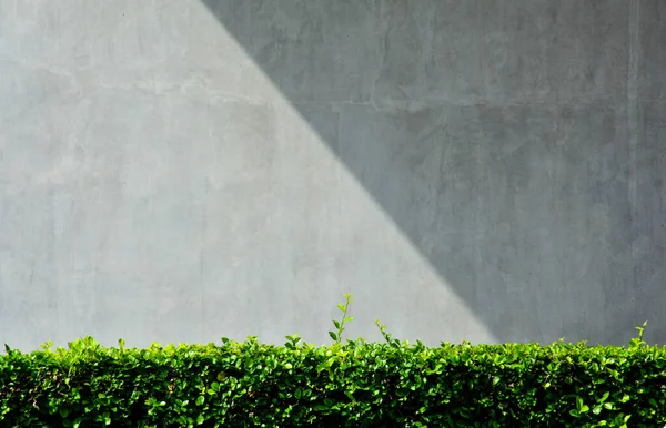 Γκρι Τσιμεντένιο Τείχος Σκιά Από Κτίριο Φόντο — Φωτογραφία Αρχείου