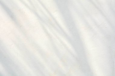 Dalların gölgeleri ve çatlayan beyaz duvarlar,