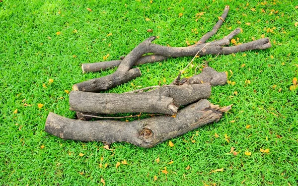 Old Firewood Green Grass — Stock Photo, Image