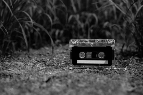 vintage audio cassette tapes on the floor in the garden. - monochrome