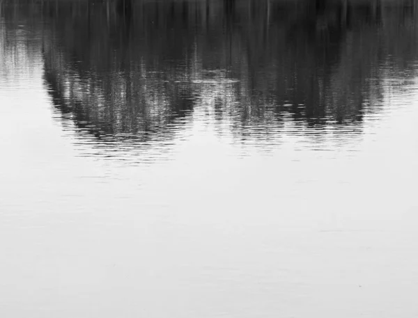 Reflexão Árvore Sombra Água Fundo Tranquilo — Fotografia de Stock