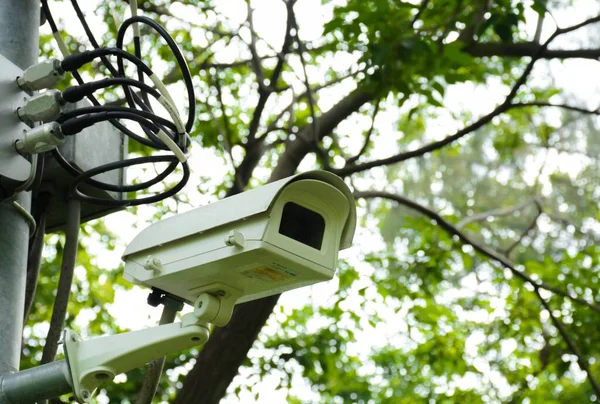Cctv Bewakingscamera Het Park — Stockfoto