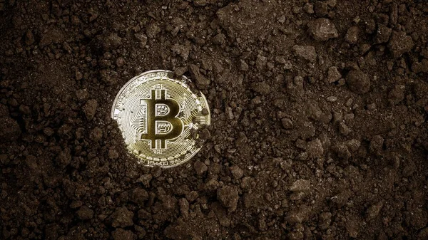 Minería Bitcoins Oro Bitcoin Dorado Brillante Suelo — Foto de Stock