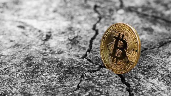 Çatlak zeminde parlak altın bitcoin.