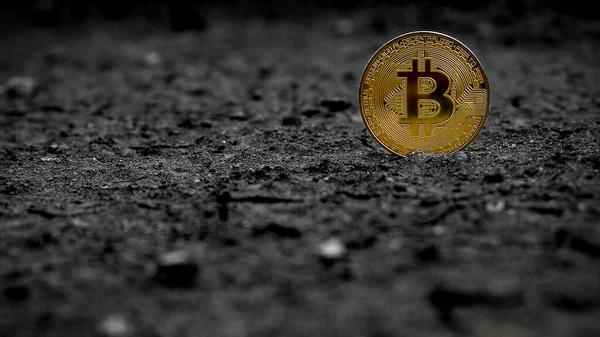 Minería Bitcoins Oro Bitcoins Oro Están Solos Suelo — Foto de Stock