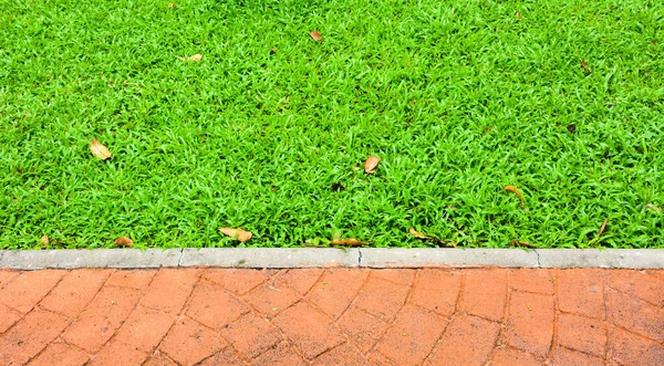 Patterned Paving Tiles Walkway Park — Stock Photo, Image