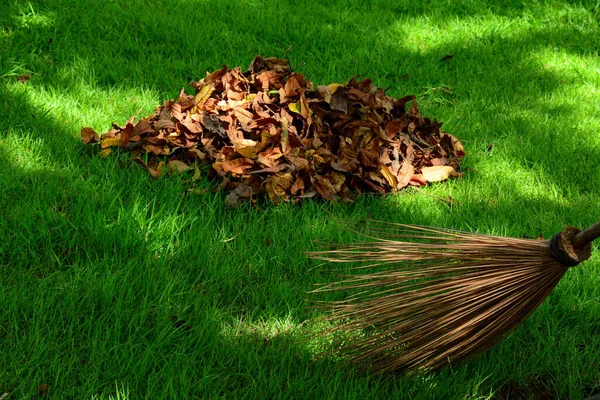 Haufen Trockener Blätter Herbst — Stockfoto