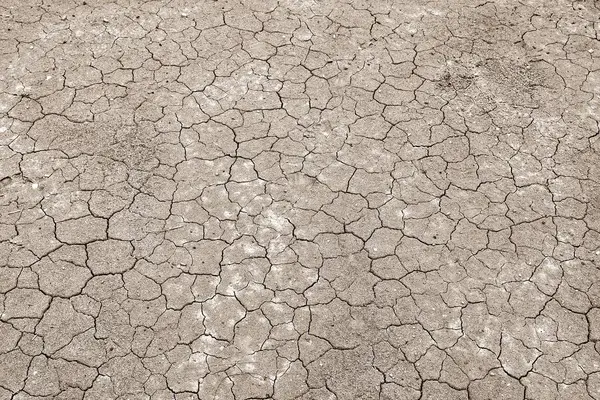 Crack Soil Texture Summer Global Climate — Stock Photo, Image