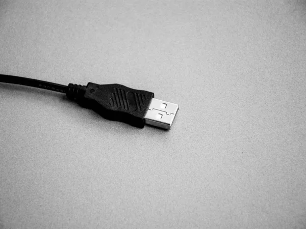 Cable Connector Usb Grey Background — Stock Photo, Image