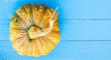 Mavi tahtada balkabağı