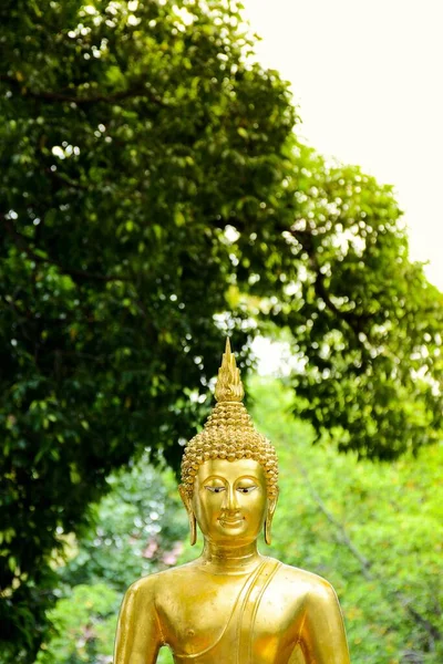 Statue Bouddha Doré Dans Nature — Photo