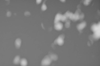 Dalların gölgeleri ve yaprakların beyaz duvarları...