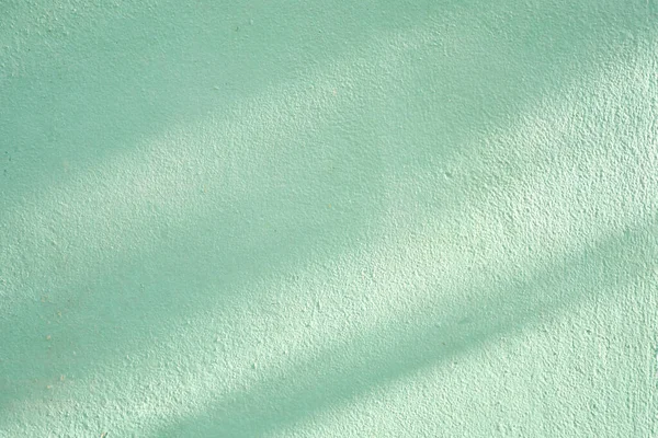 浅绿色水泥墙上的枝叶阴影 — 图库照片