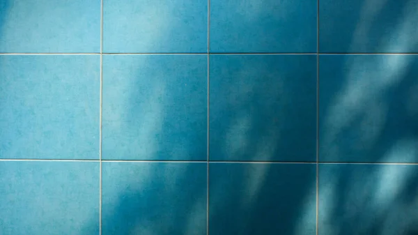 Тень Ветвей Листьев Фоне Синей Декоративной Керамической Плитки Стены — стоковое фото
