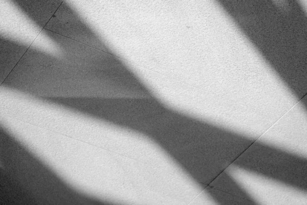shadows from the window on tile floor.