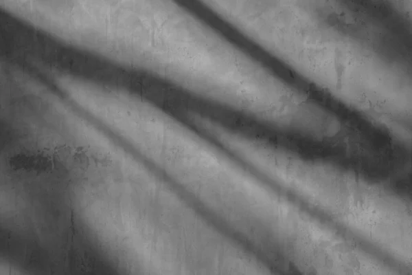 Ağaçların gölgeleri, yaprakların gölgeleri.