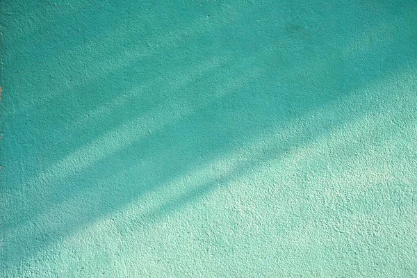 Sombra Ramas Hojas Una Pared Cemento Azul Pálido — Foto de Stock