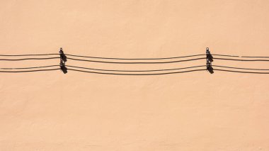 Siyah kablo ve soluk turuncu beton duvardaki gölge.