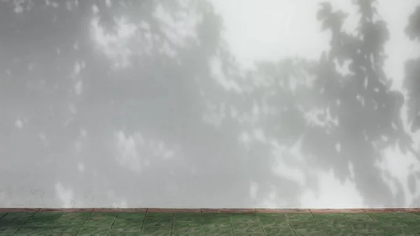 Σκιά Κλαδιού Και Φύλλου Λευκό Τσιμεντένιο Τοίχο — Φωτογραφία Αρχείου