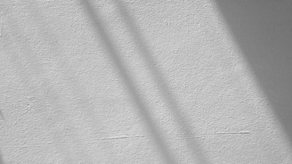 Dalların gölgeleri ve yaprakların beyaz çimento duvarları