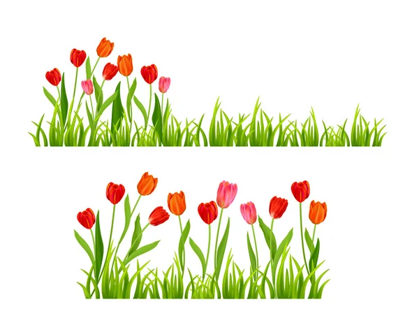 Realistische Vektor Bunte Tulpen Set Frühlingsblumen Und Gras Hintergrund Saisonbanner — Stockvektor