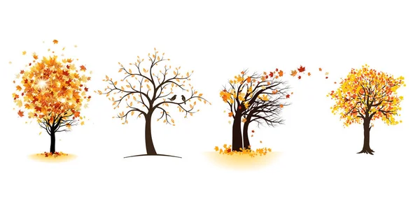 Árboles de arce de otoño conjunto — Vector de stock