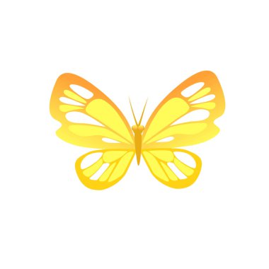 Güzel kelebek izole. Böcek simgesi. Vektör çizim