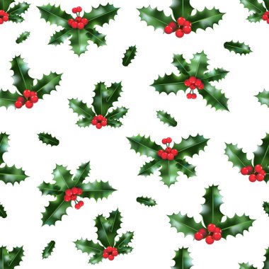 Beyaz arka plan üzerinde şenlikli holly seamless modeli