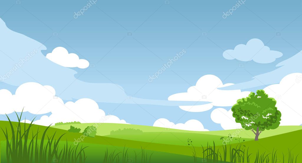 Summer landscape for design banner, green grass and blue sky  