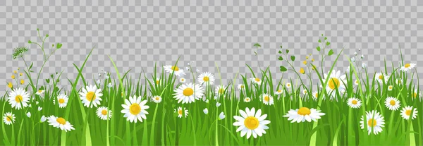 Flowers and green grass. — Stock Vector