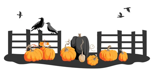 Pumpkin fence and crows — Stock Vector