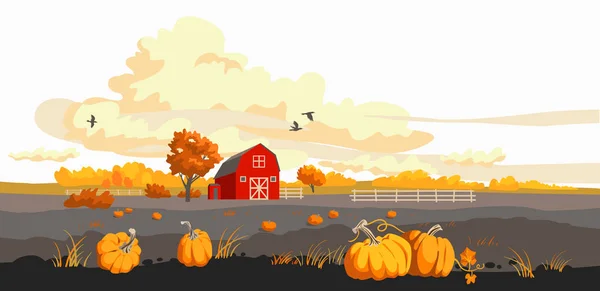 Rode schuur op een fild herfst illustratie — Stockvector