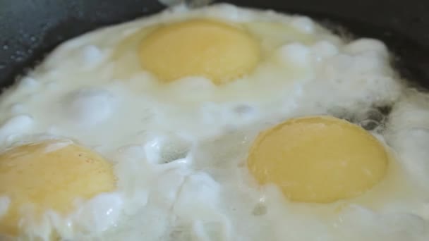 Gebakken Eieren Gekookt Een Pan Close Slowmotion — Stockvideo