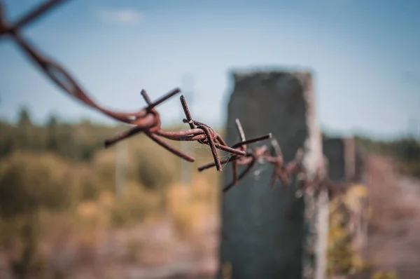 Barbed rusty wire in the web — Stock Photo, Image