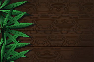 Kenevir Sativa Tahta Masada Yapraklar