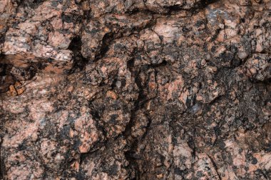 Kahverengi kaya yüzey dokusu. Soyut makro arkaplan taşı.